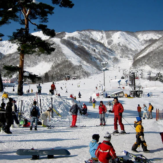 Snowboard Lesson - Hakuba Snow Sports