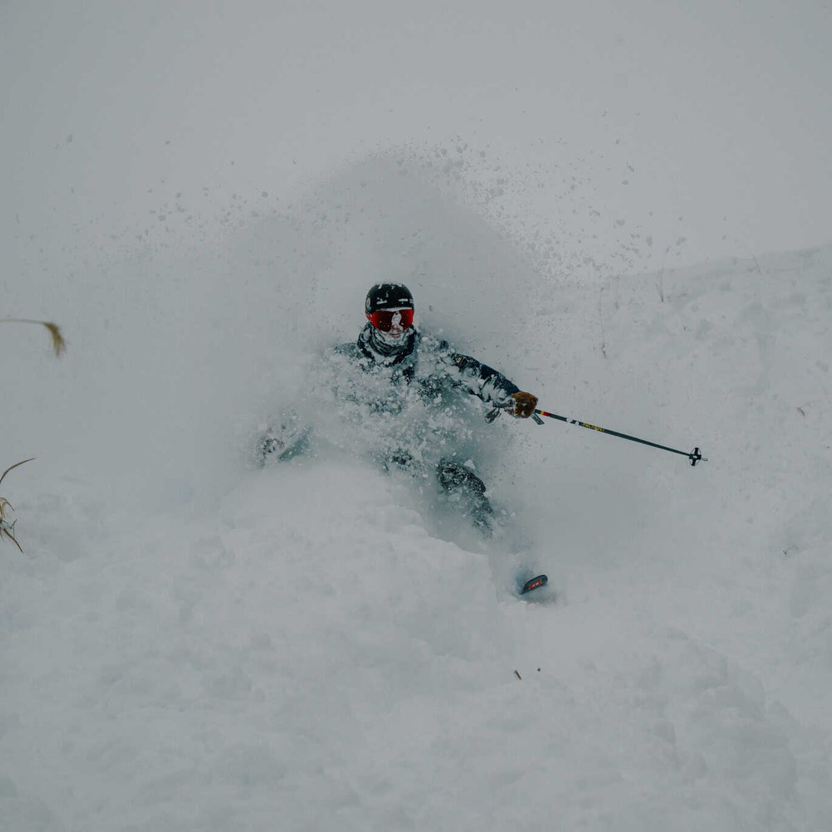Rental Gear - Skis - Spicy