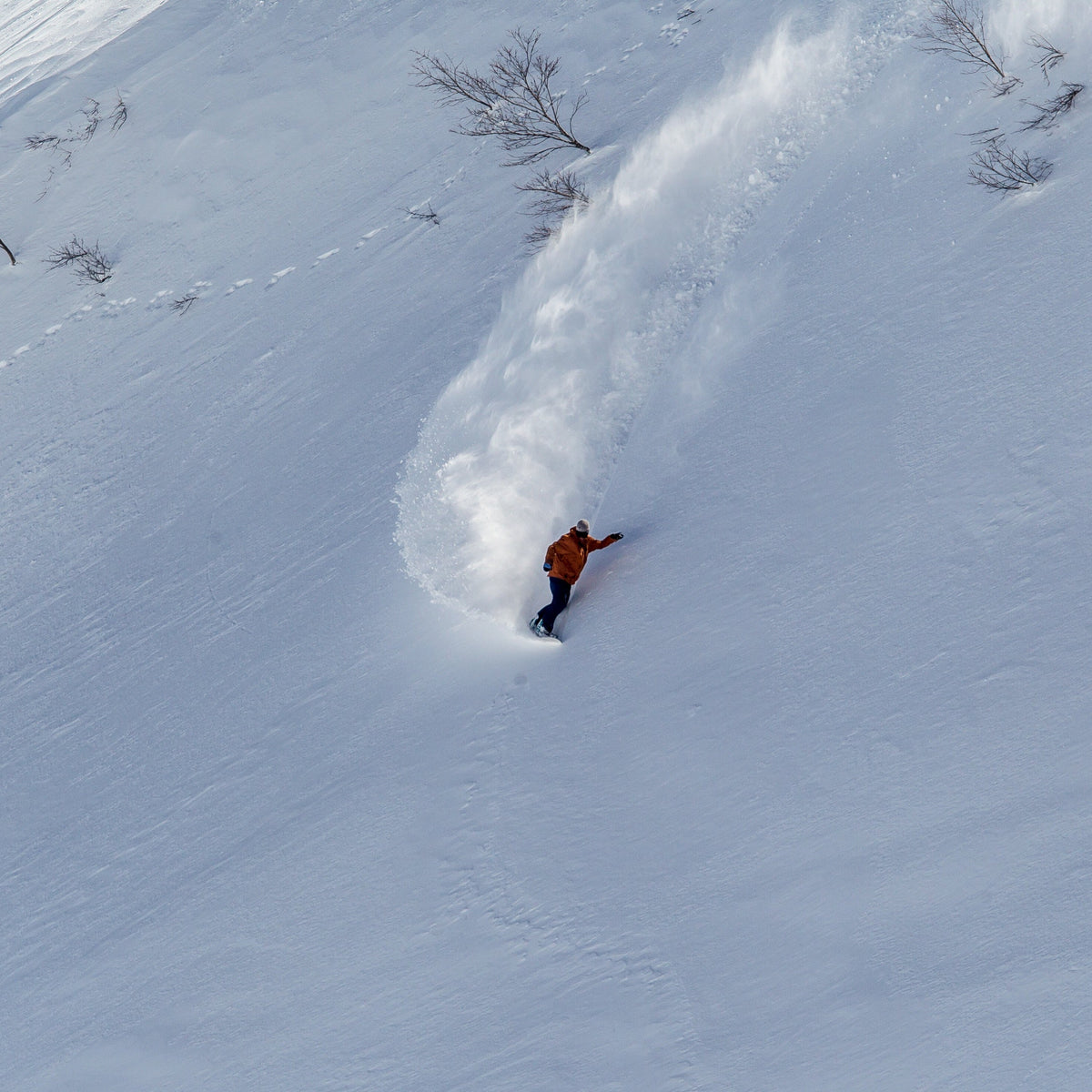 Rental Gear - Snowboards - Spicy