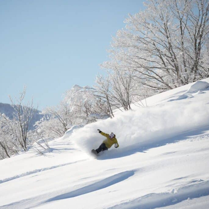 Rental Gear - Snowboards - Spicy