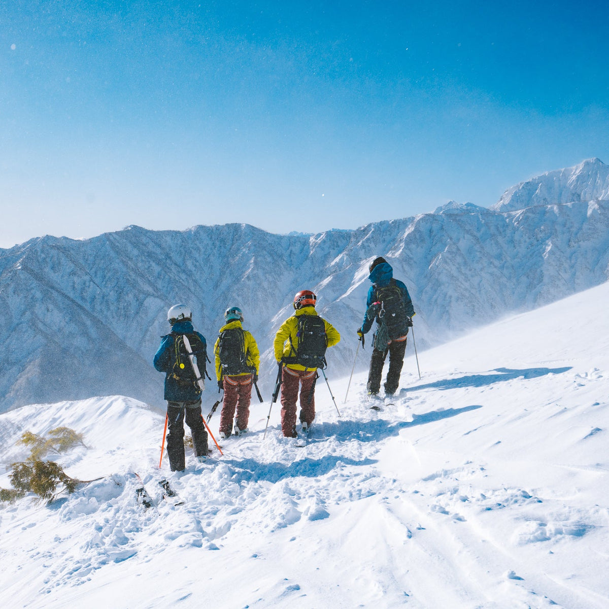 Rental Gear - Skis - Central Snowsports