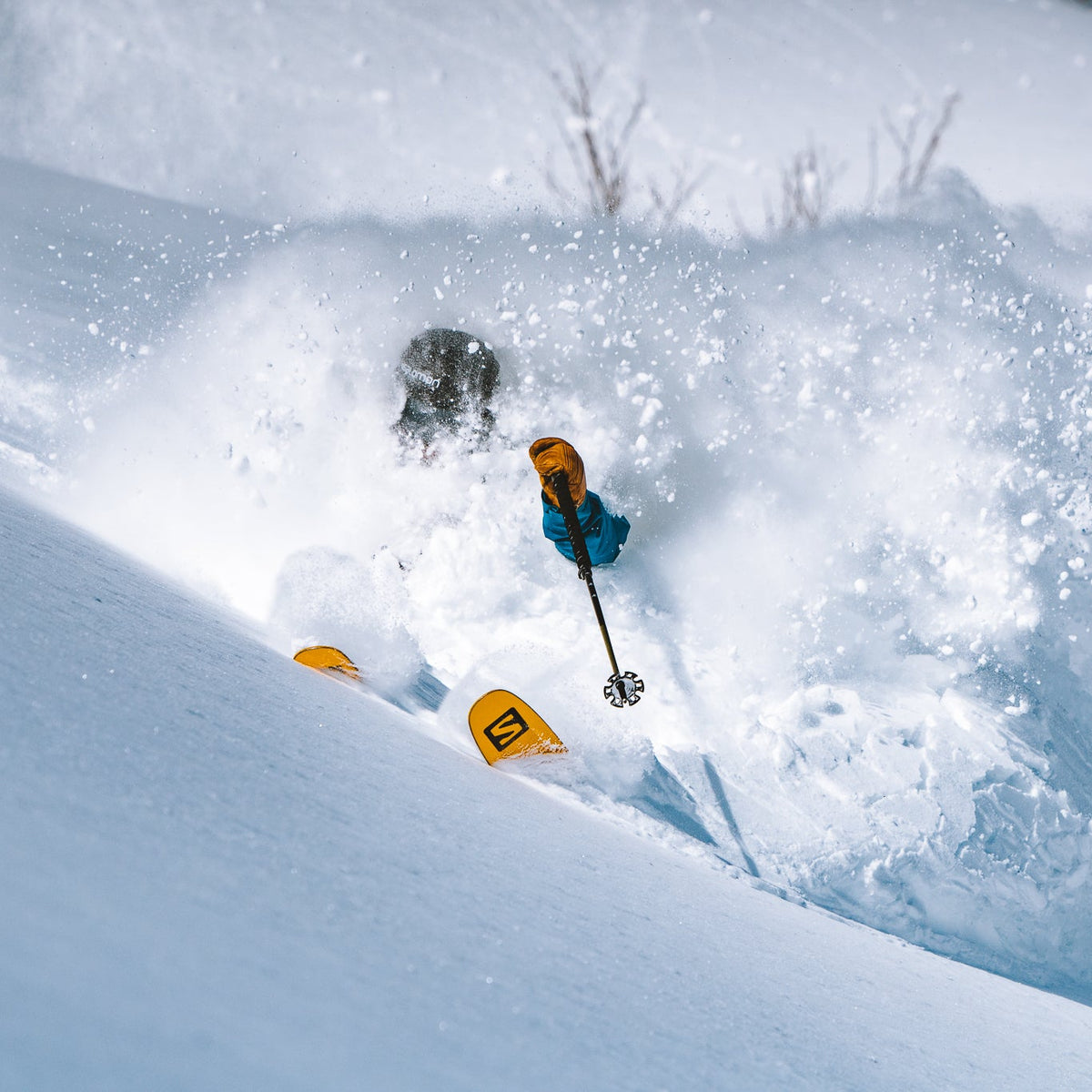 Rental Gear - Skis - Central Snowsports