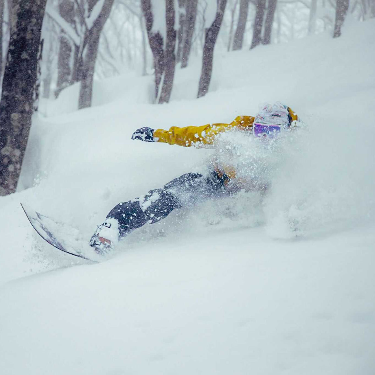 Rental Gear -  Snowboards - Central Snowsports