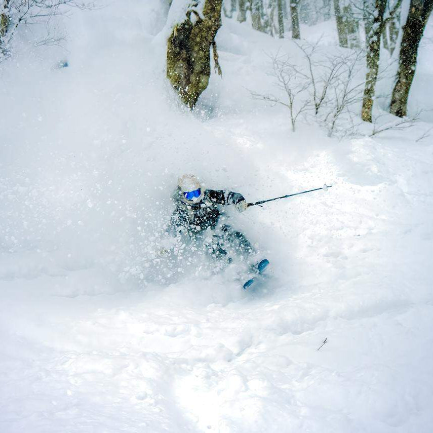 Rental Gear - Skis - Central Snowsports