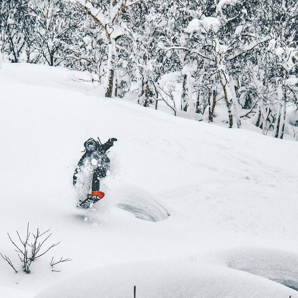 Rental Gear - Snowboards - Spicy