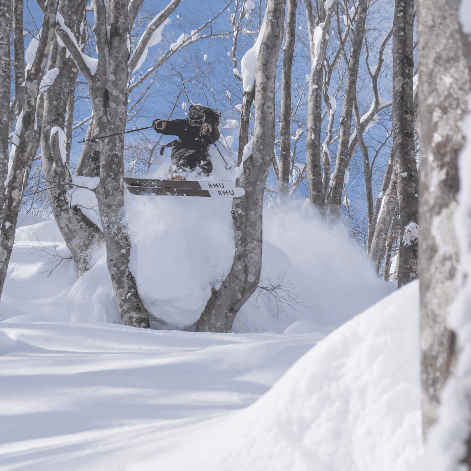 Rental Gear - Skis - Central Snowsports