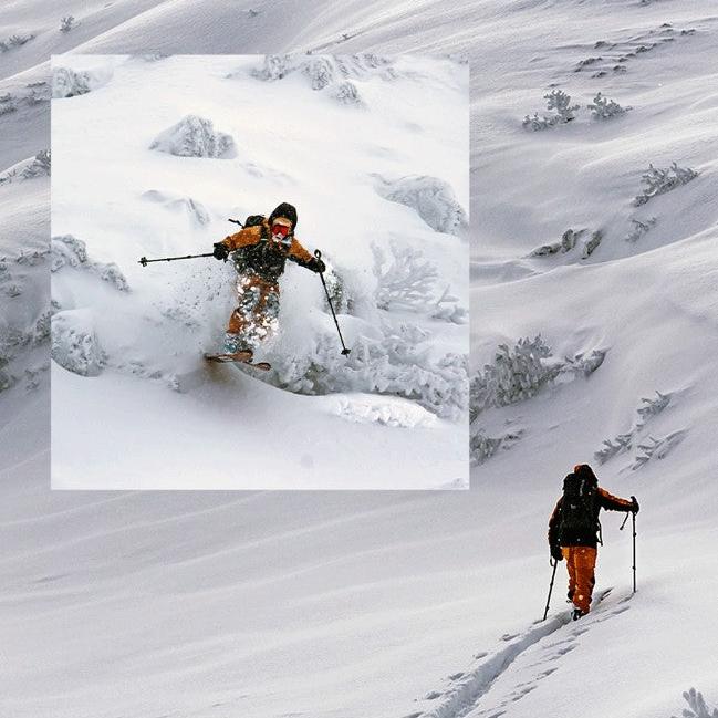Rental Gear - Skis - Rhythm