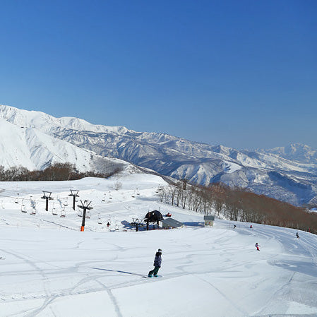 Snowboard Lesson - Hakuba Snow Sports