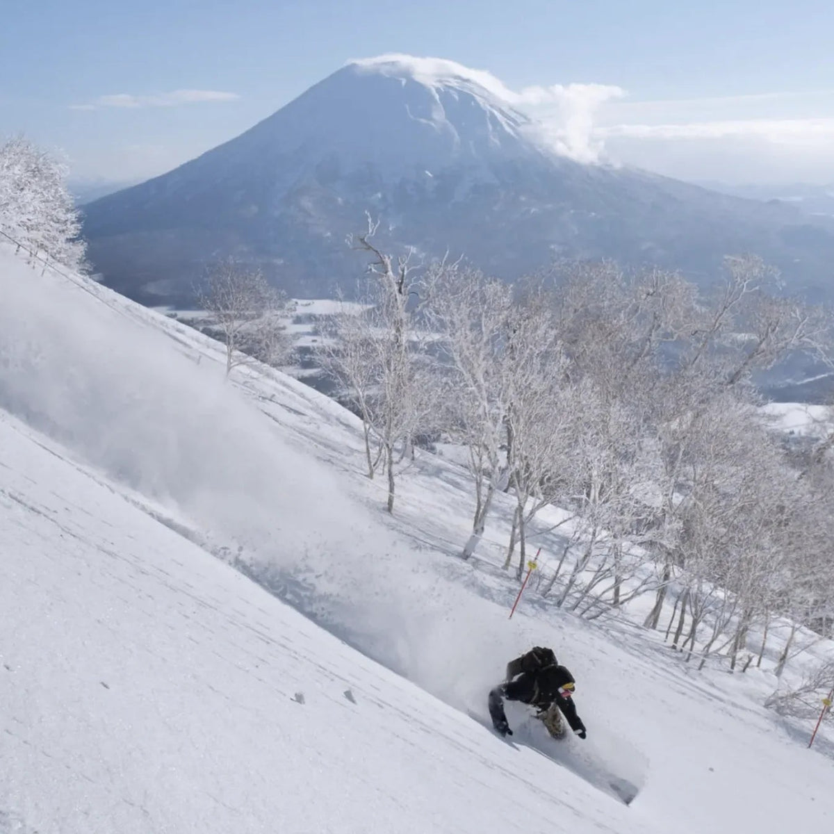 Rental Gear - Snowboards - Spicy