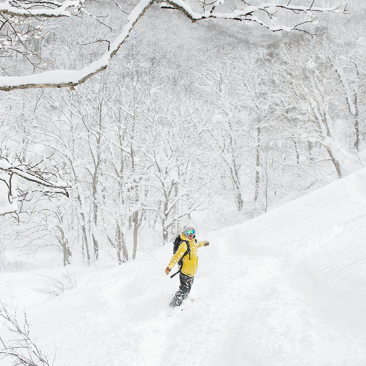 Rental Gear - Snowboards - Spicy